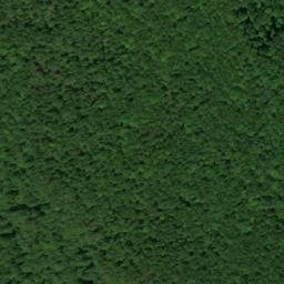 Satellite imagery of Low Gap Point, US