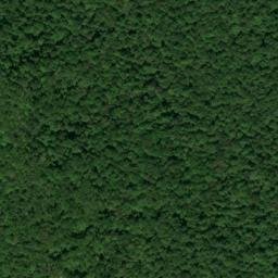Satellite imagery of Low Gap Point, US