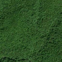 Satellite imagery of Brannon Prospect, US
