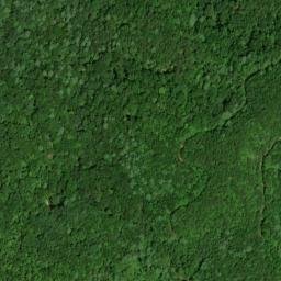 Satellite imagery of Mill Branch Workings, US