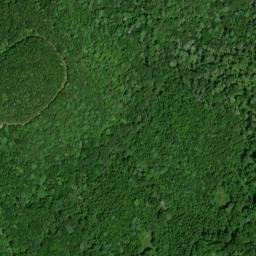 Satellite imagery of Mill Branch Workings, US