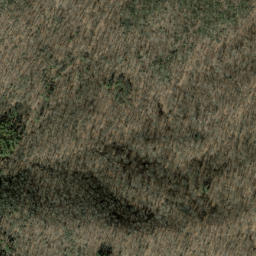 Satellite imagery of Brushy Ridge, US