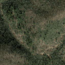 Satellite imagery of Fork Ridge, US