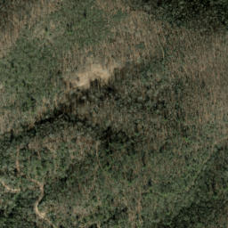 Satellite imagery of Fork Ridge, US