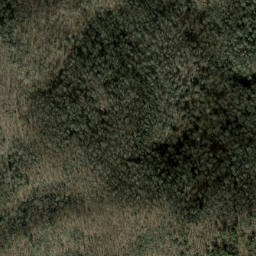 Satellite imagery of Fork Ridge, US
