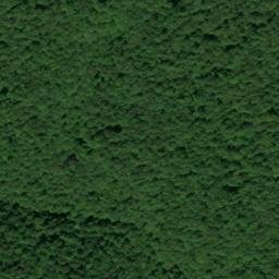 Satellite imagery of Low Gap Point, US