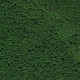 Satellite imagery of Low Gap Point, US