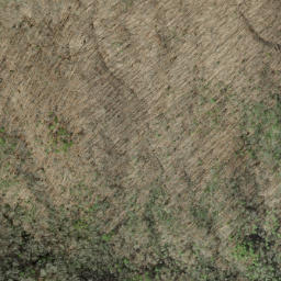 Satellite imagery of Bear Hug Ridge, US