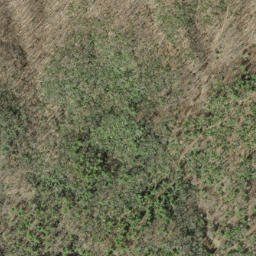 Satellite imagery of Bear Hug Ridge, US
