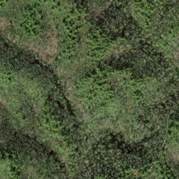 Satellite imagery of Fishermare Ridge, US