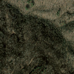 Satellite imagery of Brushy Ridge, US