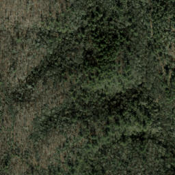 Satellite imagery of Fork Ridge, US
