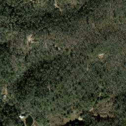 Satellite imagery of Fork Ridge, US