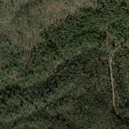 Satellite imagery of Fork Ridge, US