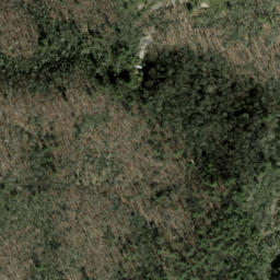 Satellite imagery of Soapstone Ridge, US
