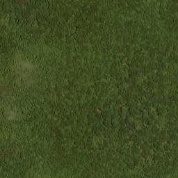 Satellite imagery of Big Mountain Ridge, US