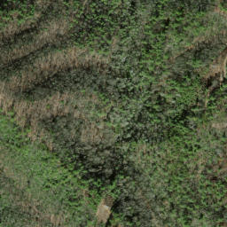 Satellite imagery of Grey Quarry, US
