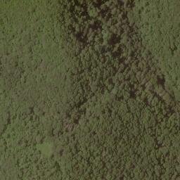 Satellite imagery of Colts Ridge, US