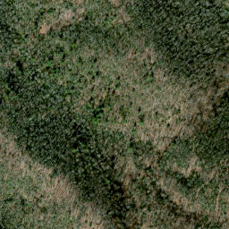 Satellite imagery of Brushy Ridge, US