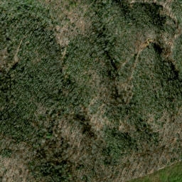 Satellite imagery of Brushy Ridge, US