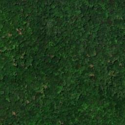 Satellite imagery of Dughill Ridge, US