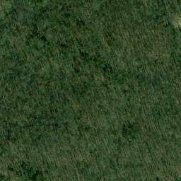 Satellite imagery of Trussell Point, US