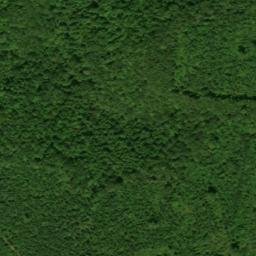 Satellite imagery of Rankins Mine, US