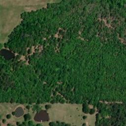 Satellite imagery of WILLIAMS — NGS FF1859 — White County, US, US