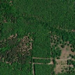 Satellite imagery of WILLIAMS — NGS FF1859 — White County, US, US
