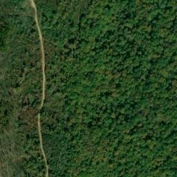 Satellite imagery of Speegle Point, US