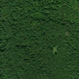 Satellite imagery of Anderson Point, US