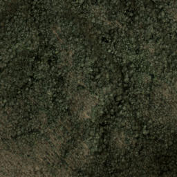 Satellite imagery of Salt Rock, US