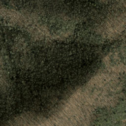 Satellite imagery of Salt Rock, US
