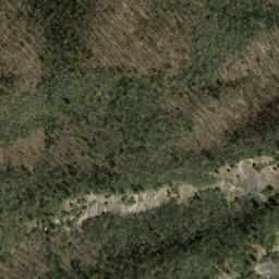 Satellite imagery of Salt Rock, US