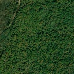 Satellite imagery of Speegle Point, US