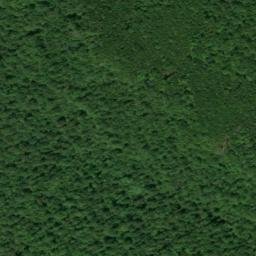 Satellite imagery of Anderson Point, US