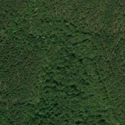 Satellite imagery of Lick Point, US