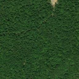 Satellite imagery of Dittany Point, US