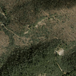 Satellite imagery of Salt Rock, US