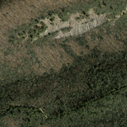 Satellite imagery of Salt Rock, US