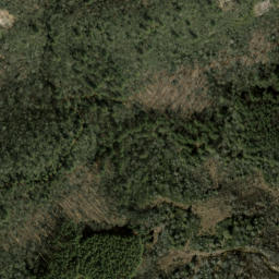 Satellite imagery of Salt Rock, US