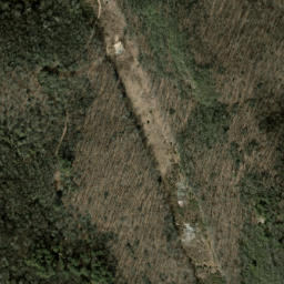 Satellite imagery of Boardcamp Ridge, US