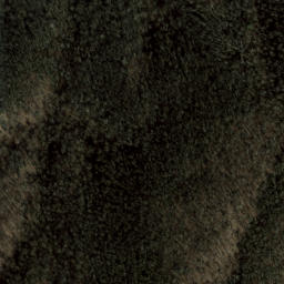 Satellite imagery of Cleveland Heights, US