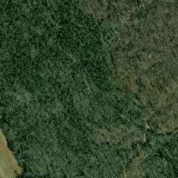 Satellite imagery of Speegle Point, US