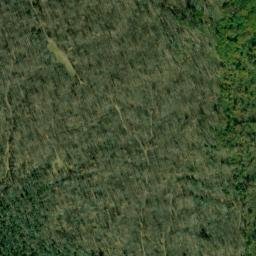 Satellite imagery of Speegle Point, US