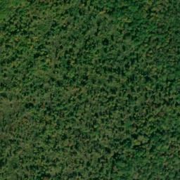 Satellite imagery of Speegle Point, US