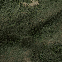 Satellite imagery of Salt Rock, US