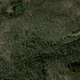 Satellite imagery of Salt Rock, US