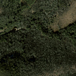 Satellite imagery of Salt Rock, US