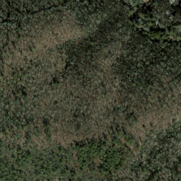 Satellite imagery of Carding Machine Ridge, US